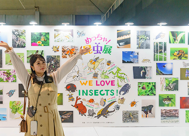 ひらパーの「めっちゃ！昆虫展」は大人も子どもも好奇心くすぐられる楽しい展示がいっぱい！虫グッズに昆虫食も！？