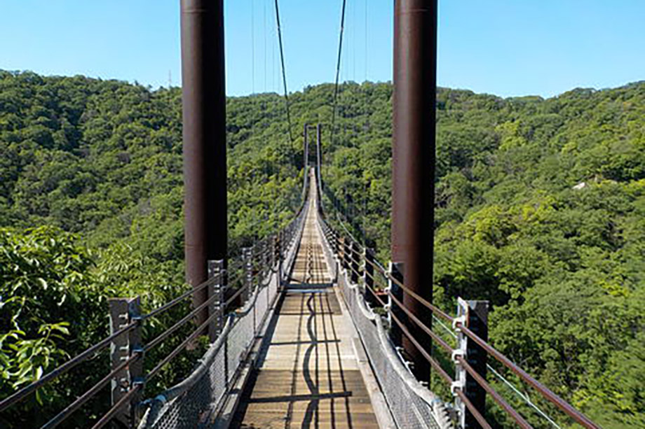 Hoshi no Buranko Bridge