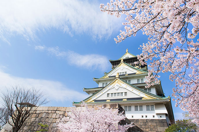 오사카 성과 벚꽃