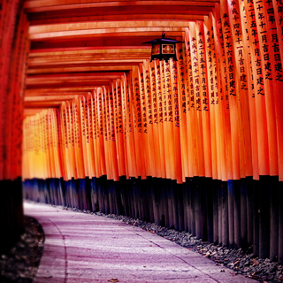 若要前往京都，不妨來一趟不限次數搭乘的優惠觀光乘車券之旅