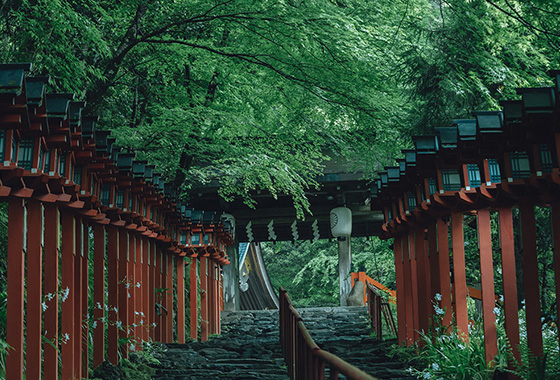 Indulge in Kyoto's Hidden Gems in the "Kibune & Kurama" Area