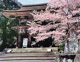 미이데라(三井寺)