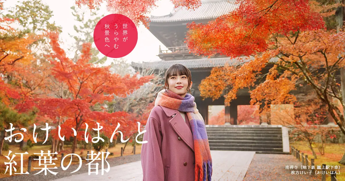 京都・滋賀 京阪沿線の紅葉特集2024 | 京阪グループ