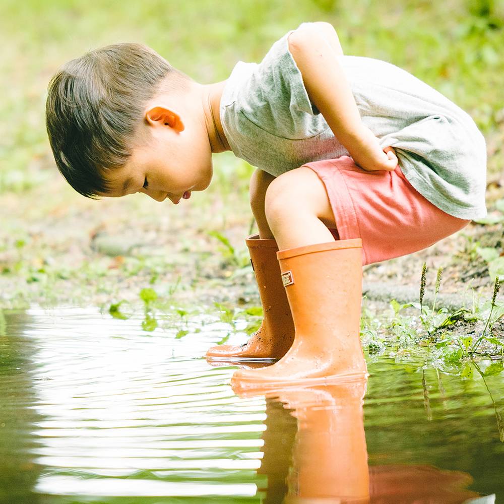 夏を待ちわびて。