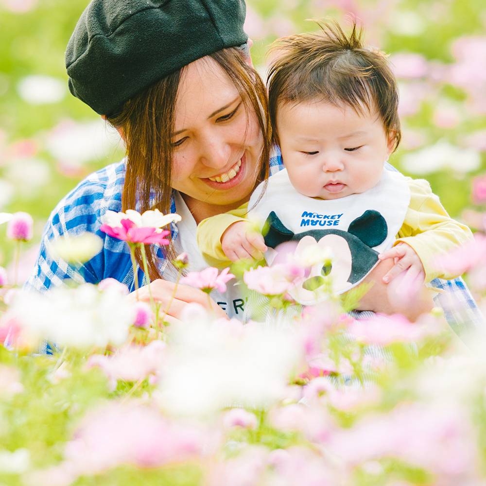 秋の花揺れて。