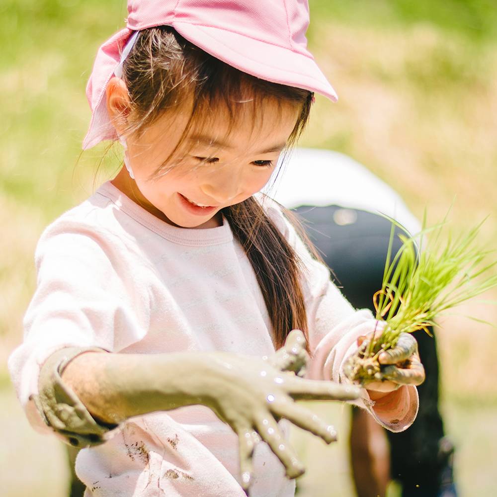 棚田の早苗（さなえ）月。