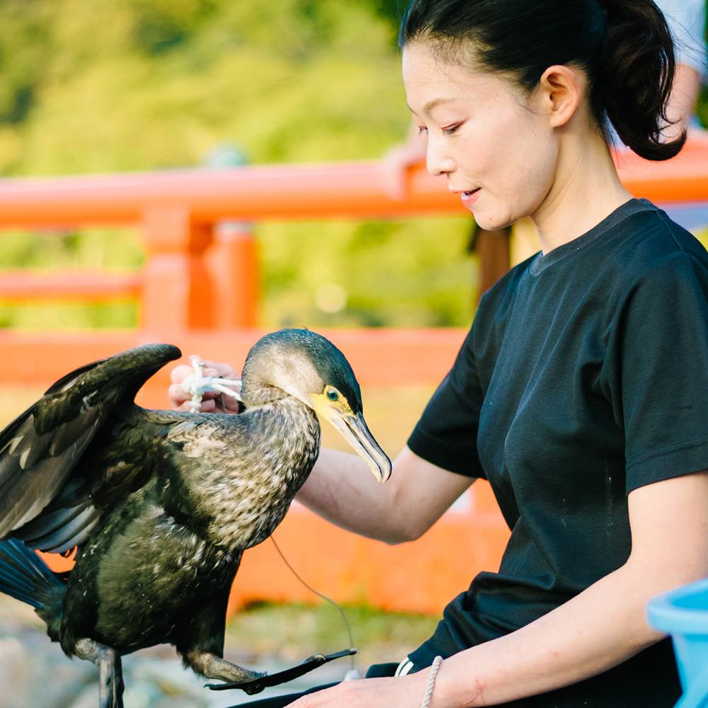 宇治川、夏の漁。