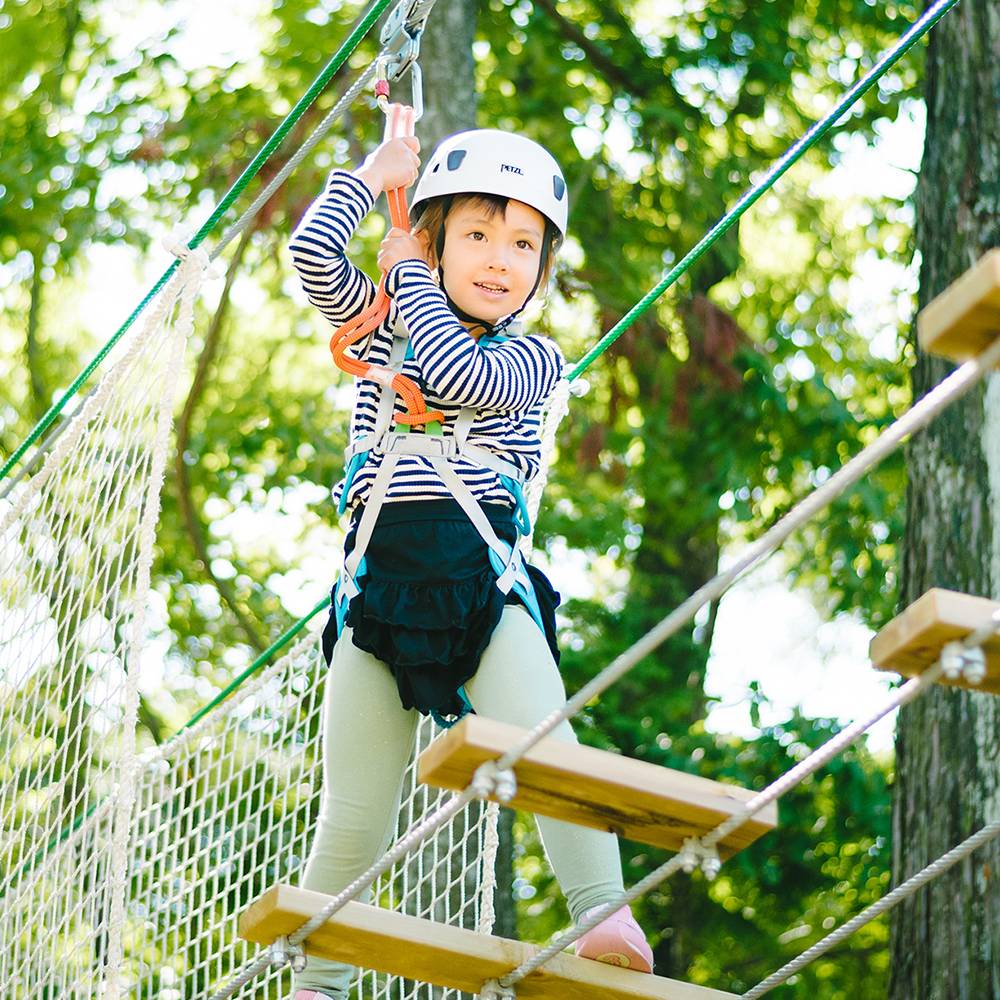 森林冒険へ、くり出そう！