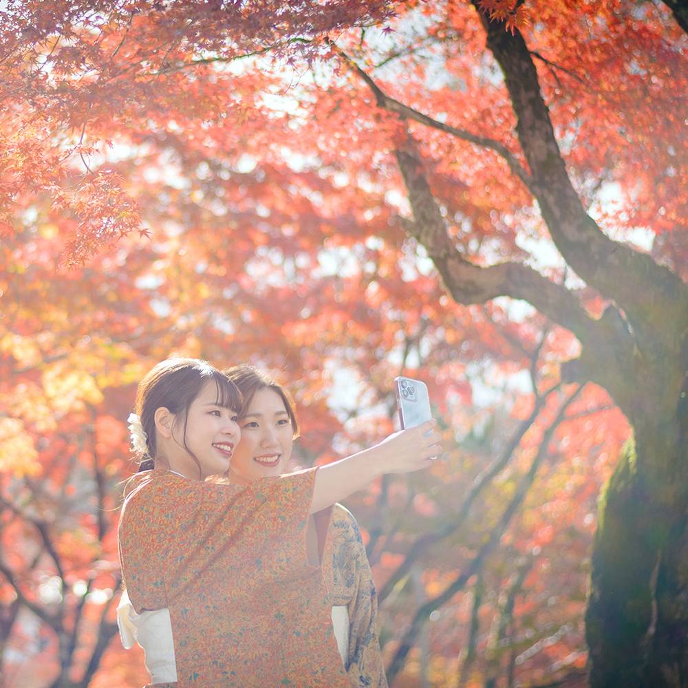 もみじ彩る古都模様。