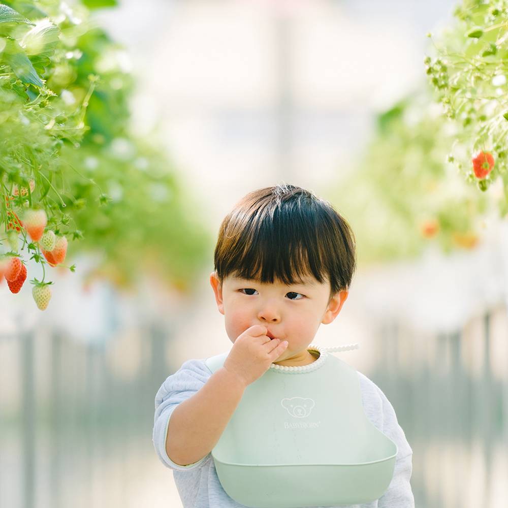 春を先取るイチゴ園。