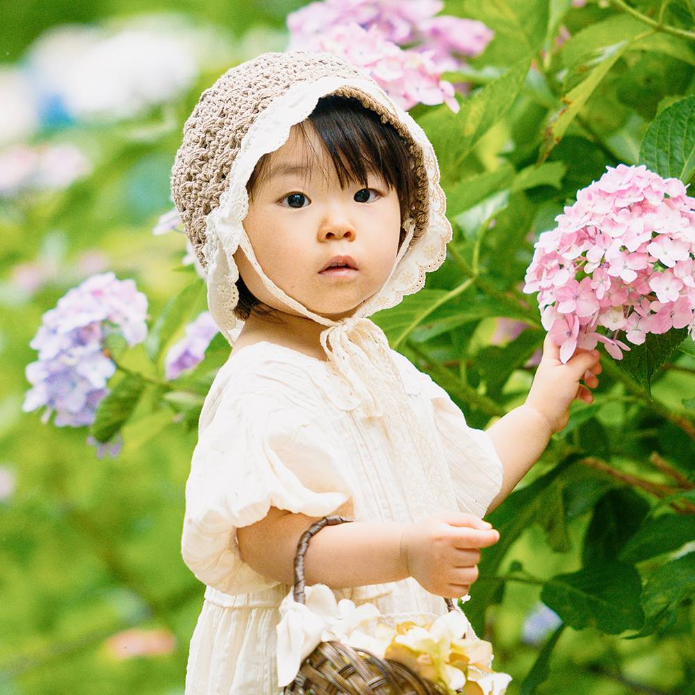 梅雨のアジサイ散歩。