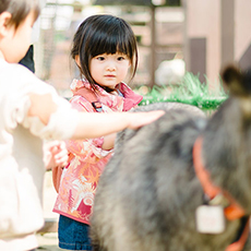 みんな仲よし動物園。