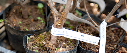 こころまち つくろう 活動レポート Vol.06