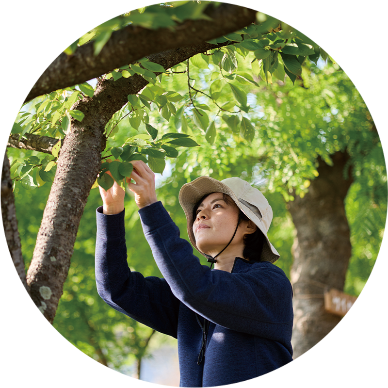 京阪園芸株式会社 PMO事業部 マネージャー 武田 泰葉さん