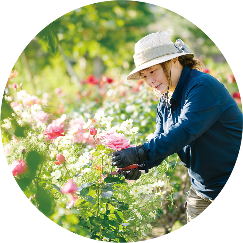 京阪園芸株式会社 大津支店 リーダー 中川 恵美子さん