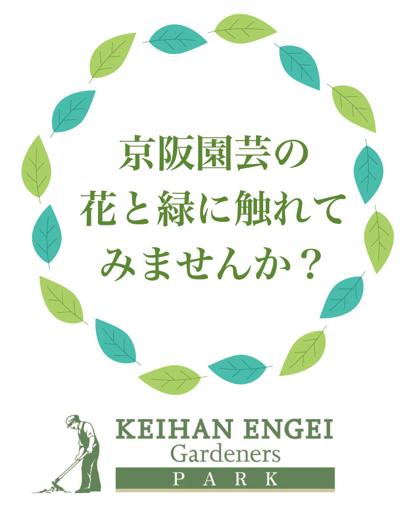京阪園芸の花と緑に触れてみませんか？