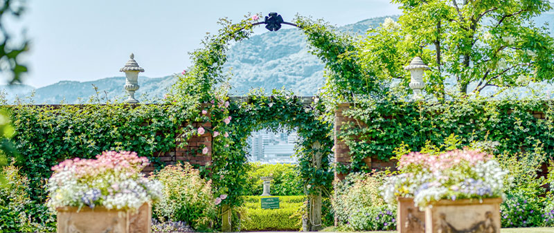 こころまち つくろう 活動レポート Vol.55