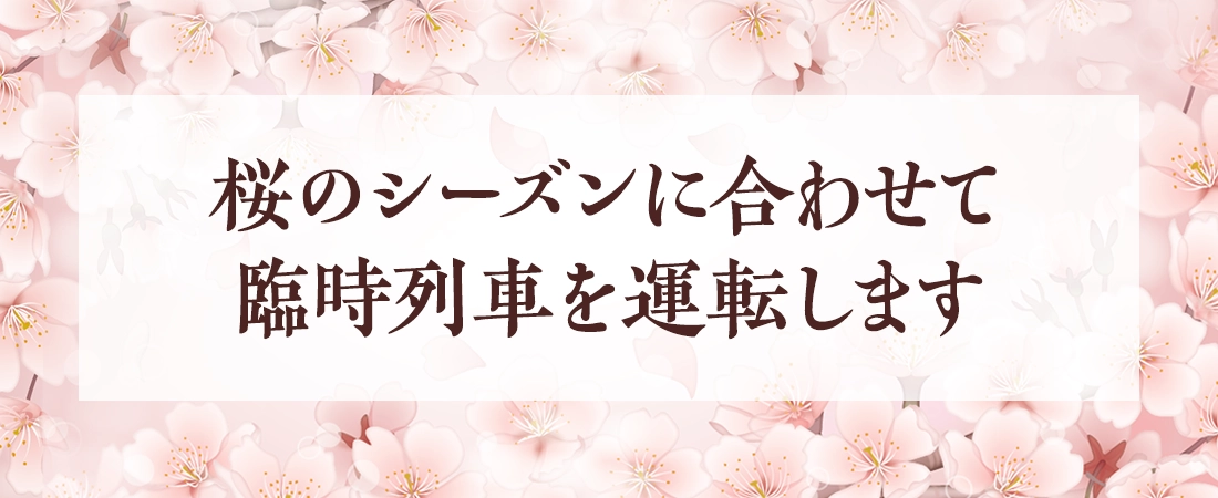 桜のシーズンに合わせて臨時列車を運転します