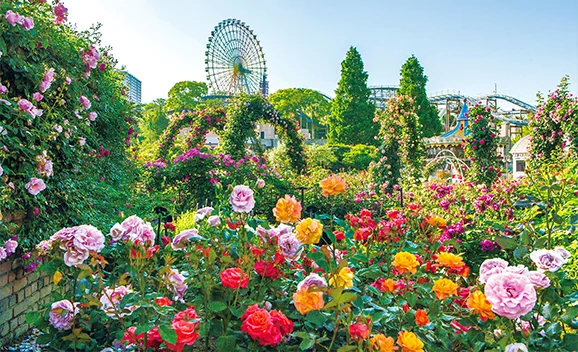 イングリッシュガーデン