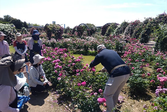 セミナーの様子