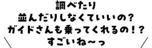 調べたり並んだりしなくていいの？ガイドさんも乗ってくれるの！？すごいね～っ