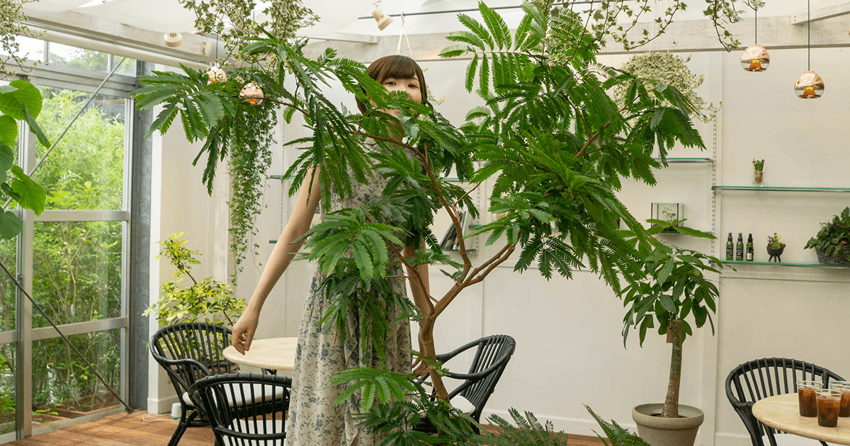 昼間からリニューアルしたばかりのカフェで植物を眺めながらクラフト