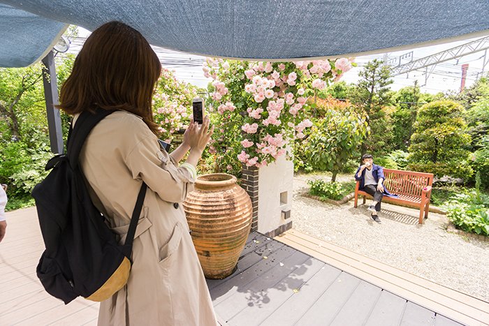 京阪園芸ガーデナーズ