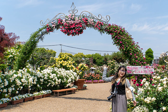 ひらかたパークの初夏の風物詩「ローズガーデン」