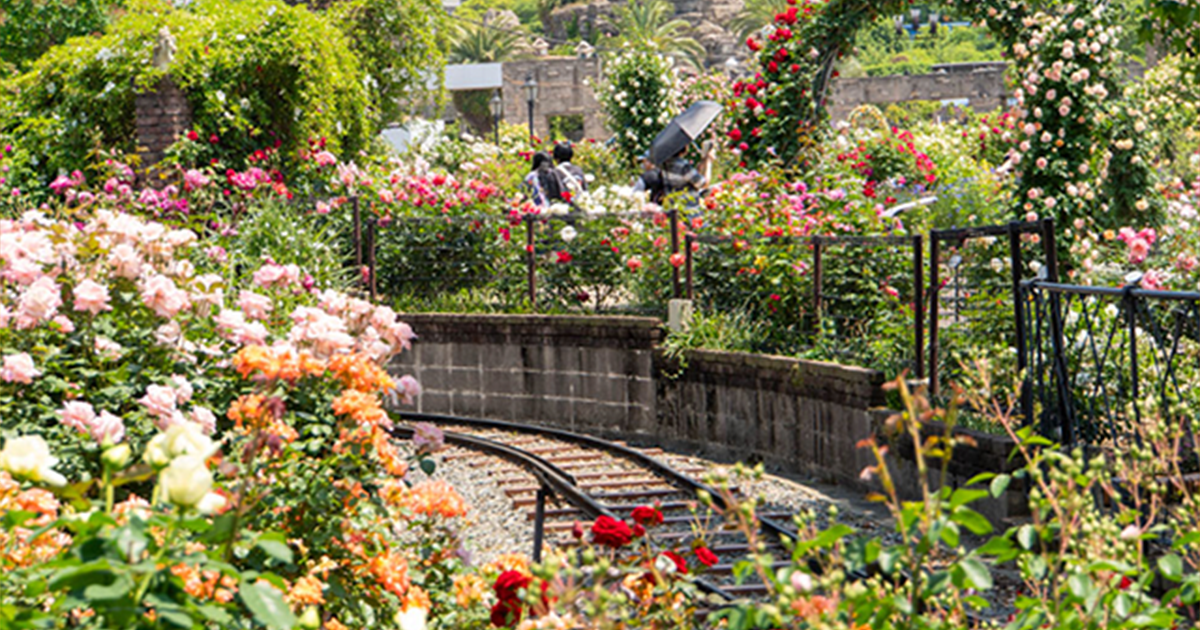 【バラ売り可】 Man 公式写真 217枚 Snow Man 公式写真 佐久間大介⑥ バラ売り可能｜Yahoo!フリマ（旧