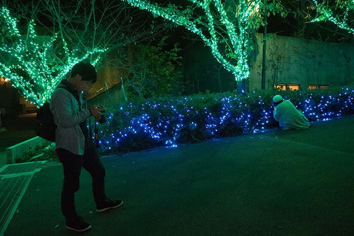 光の遊園地（夜のひらかたパーク）