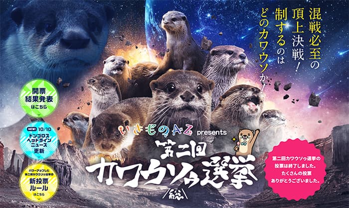 カワウソゥ選挙