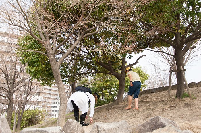 交北公園の滝