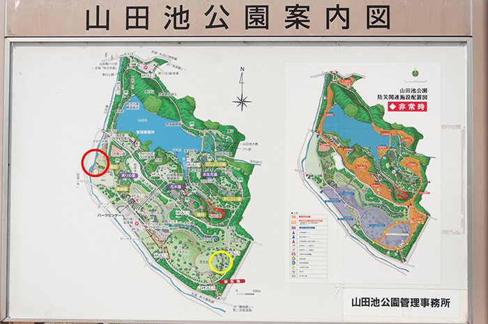 山田池公園