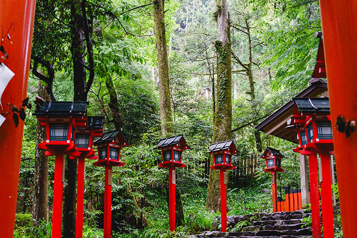 貴船神社と言えば赤い灯籠が並ぶ石段の参道