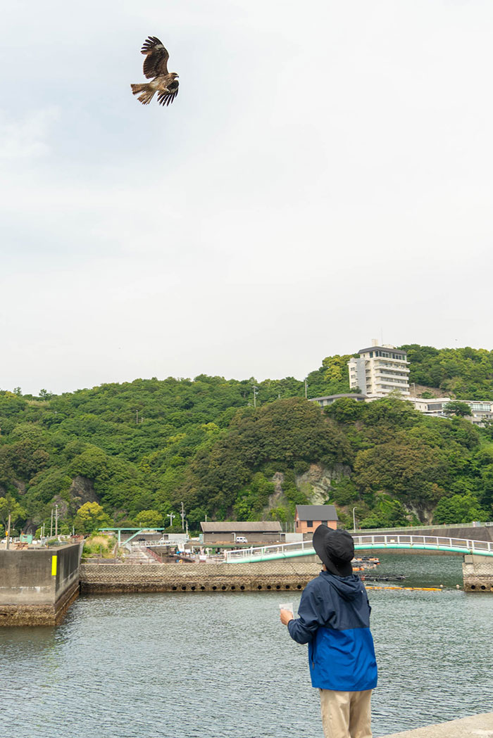 釣りの様子