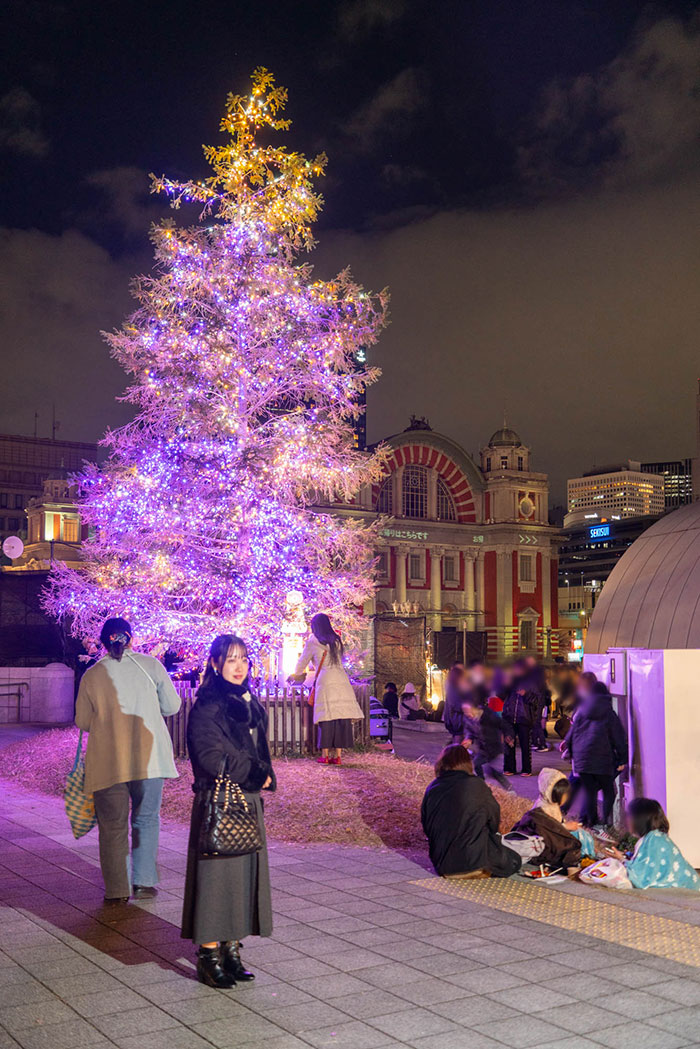 クリスマスツリーと中央公会堂