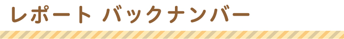 レポート バックナンバー