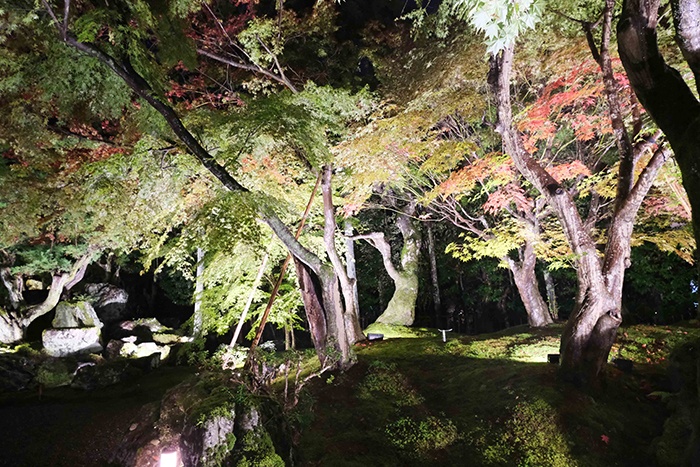 しょうざん庭園