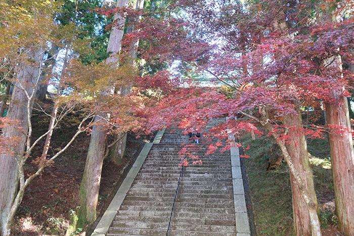 ⽐叡⼭延暦寺境内散策の紅葉