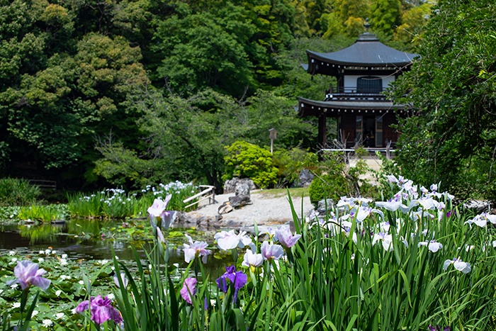 勧修寺の池泉回遊式庭園「氷池園（ひょうちえん）」