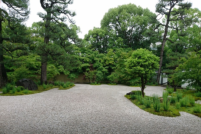 「第58回京の冬の旅　紫式部と源氏物語ゆかりの地をたずねて」廬山寺の「源氏庭」