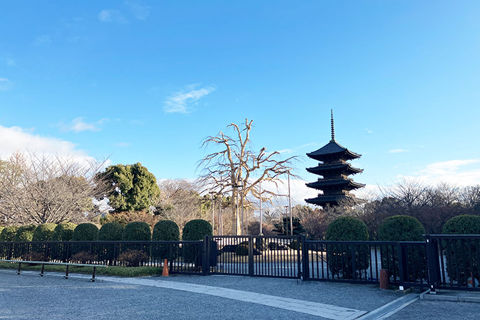 “おこしバス” で行くご利益めぐり「神様☆7カラーズ」今宮神社「かざりや」のあぶり餅