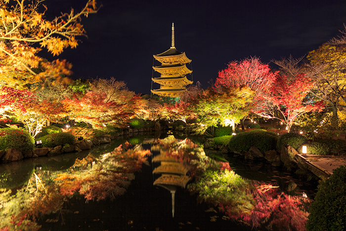 京都定期観光バス