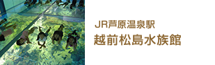 JR芦原温泉駅 越前松島水族館（福井）