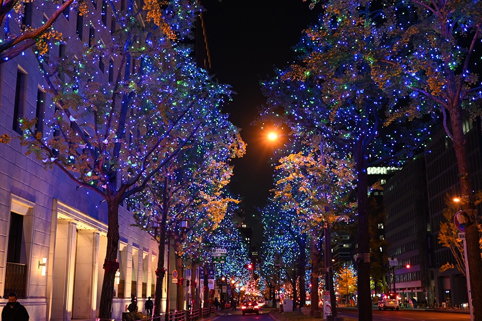 冬の大阪のライトアップ！光の饗宴を夜さんぽ