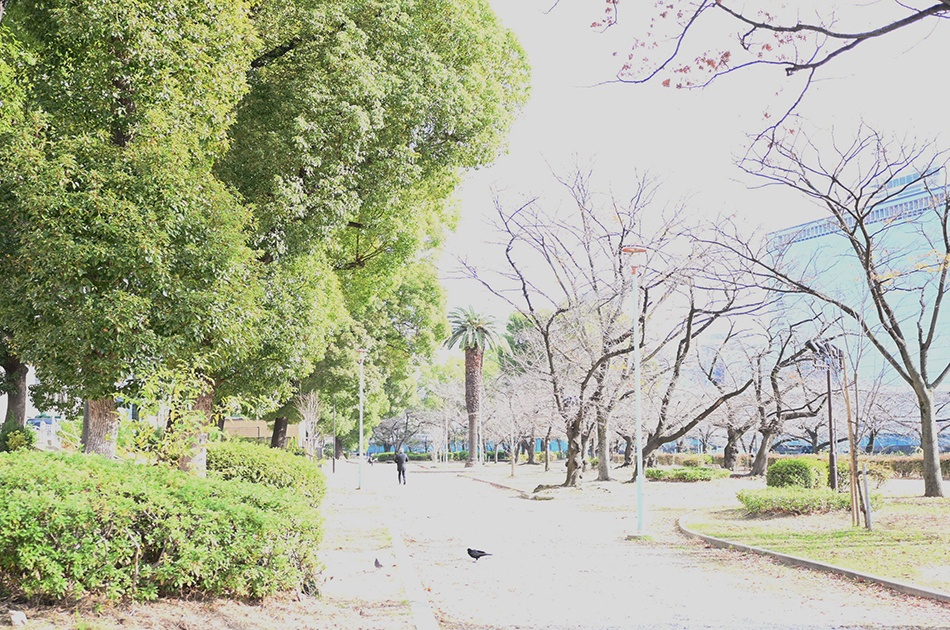 ごきげんさんぽ編集長の天満橋案内