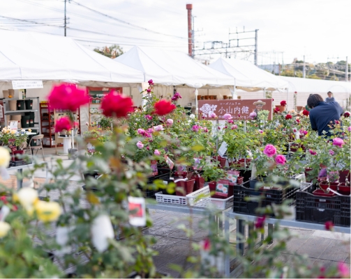 会社の特徴/魅⼒