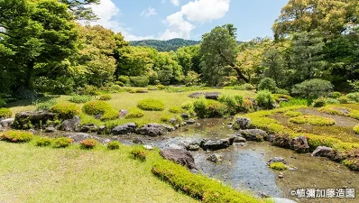 京都 無鄰菴の青もみじ
