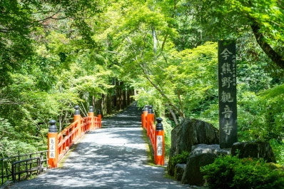 京都 今熊野観音寺の青もみじ