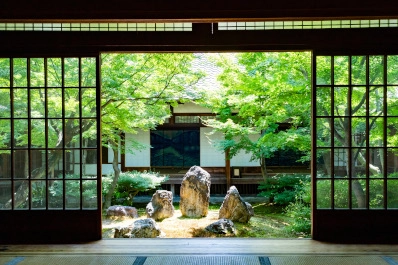 京都 建仁寺の青もみじ
